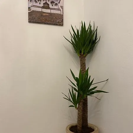 Centro Benalup-Casas Viejas